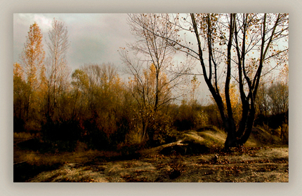 Nemes  Zolt�n ’mettor’, Buck�k
