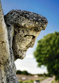 Nemes  Zolt�n ’mettor’, Corpus 