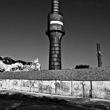 Olajgy�ri sirat� 