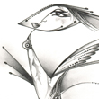A b�ke madara
