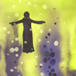 Akv�rium