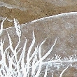 Tavacska
