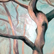 C�drusok