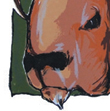 �llatfarm: figyel