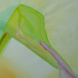 Kaposm�r� No. 7.