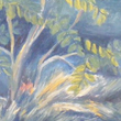 Ak�c